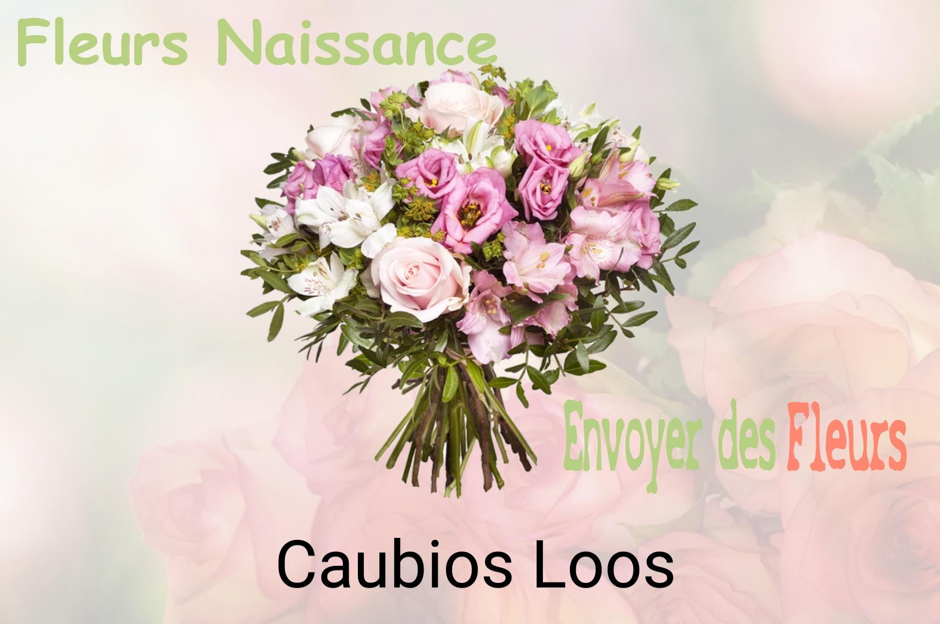 Bouquet de fleurs de naissance livré à Caubios-Loos