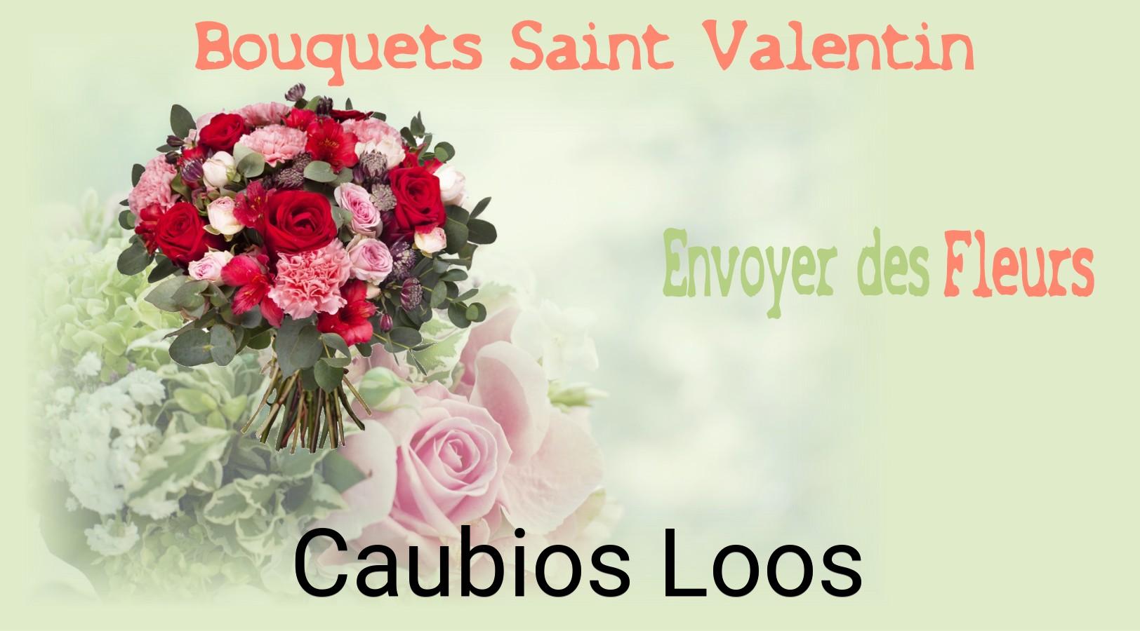 Roses de Saint-Valentin livrées à Caubios-Loos